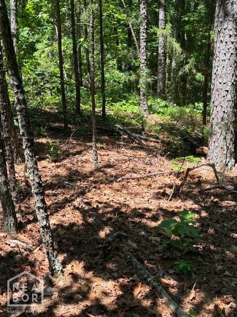 Property Photo: 12 Castano (Lot 12) Lane AR 71909