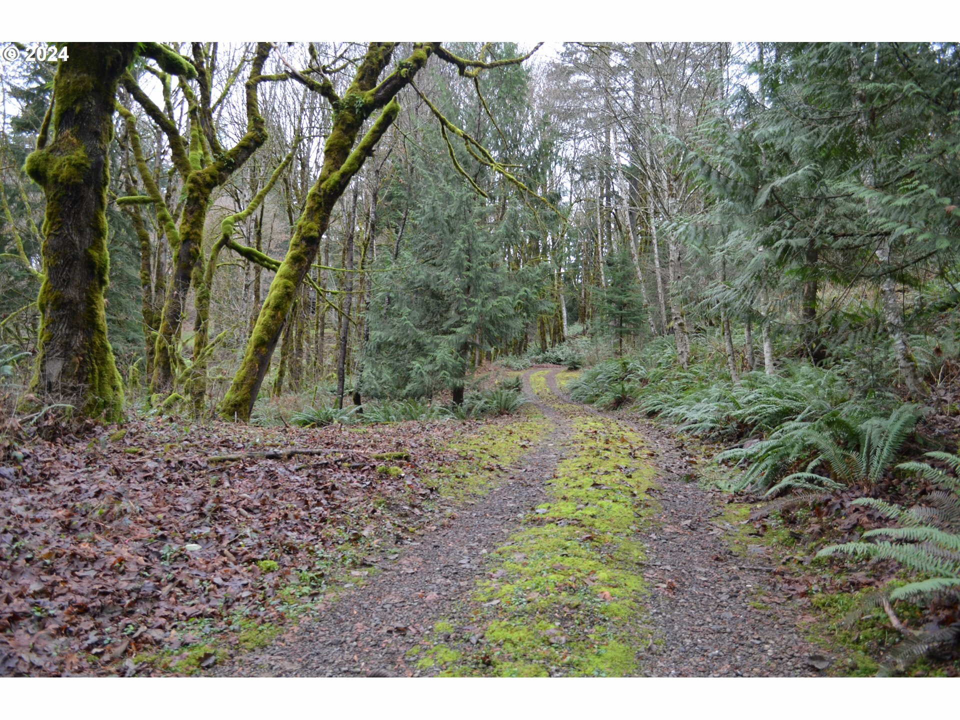 Property Photo:  NE 380th Ave  WA 98671 