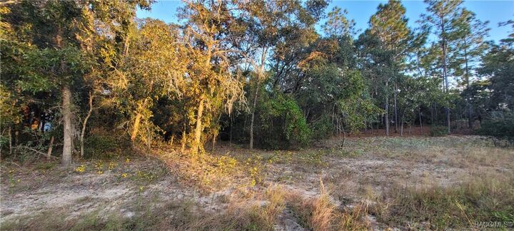 Property Photo: 11377 N Kenney Loop FL 34434