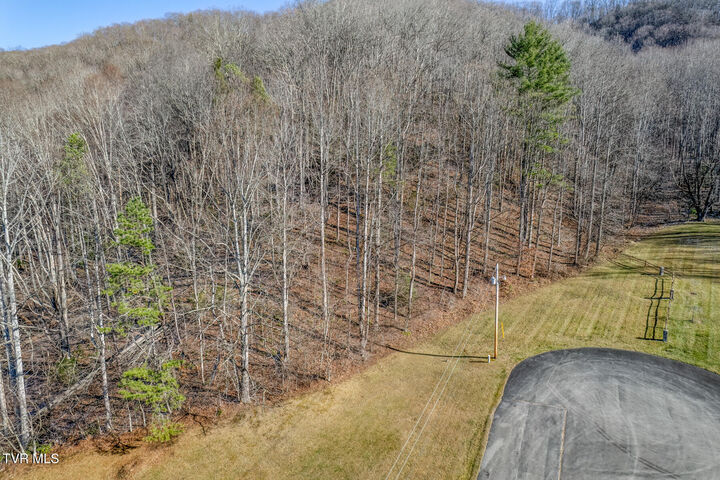 117 Buckner Drive  Roan Mountain TN 37687 photo