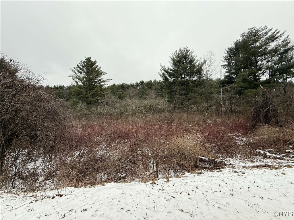 Property Photo:  170 Fisher Settlement Road  NY 14883 