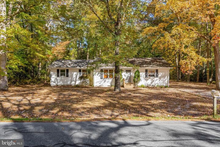 22243 Deep Branch Road  Georgetown DE 19947 photo