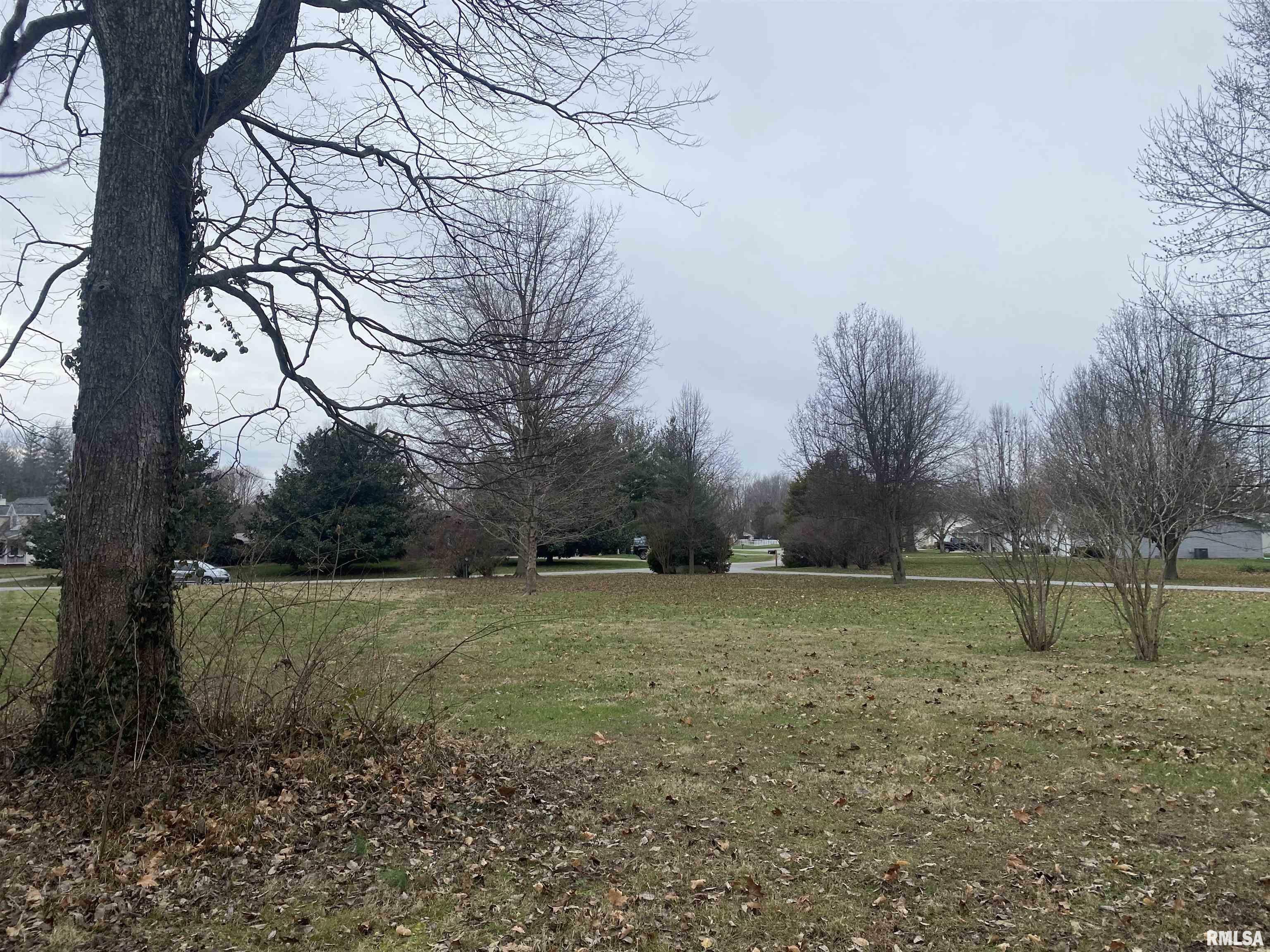 Property Photo:  23 Brian Avenue  IL 62966 