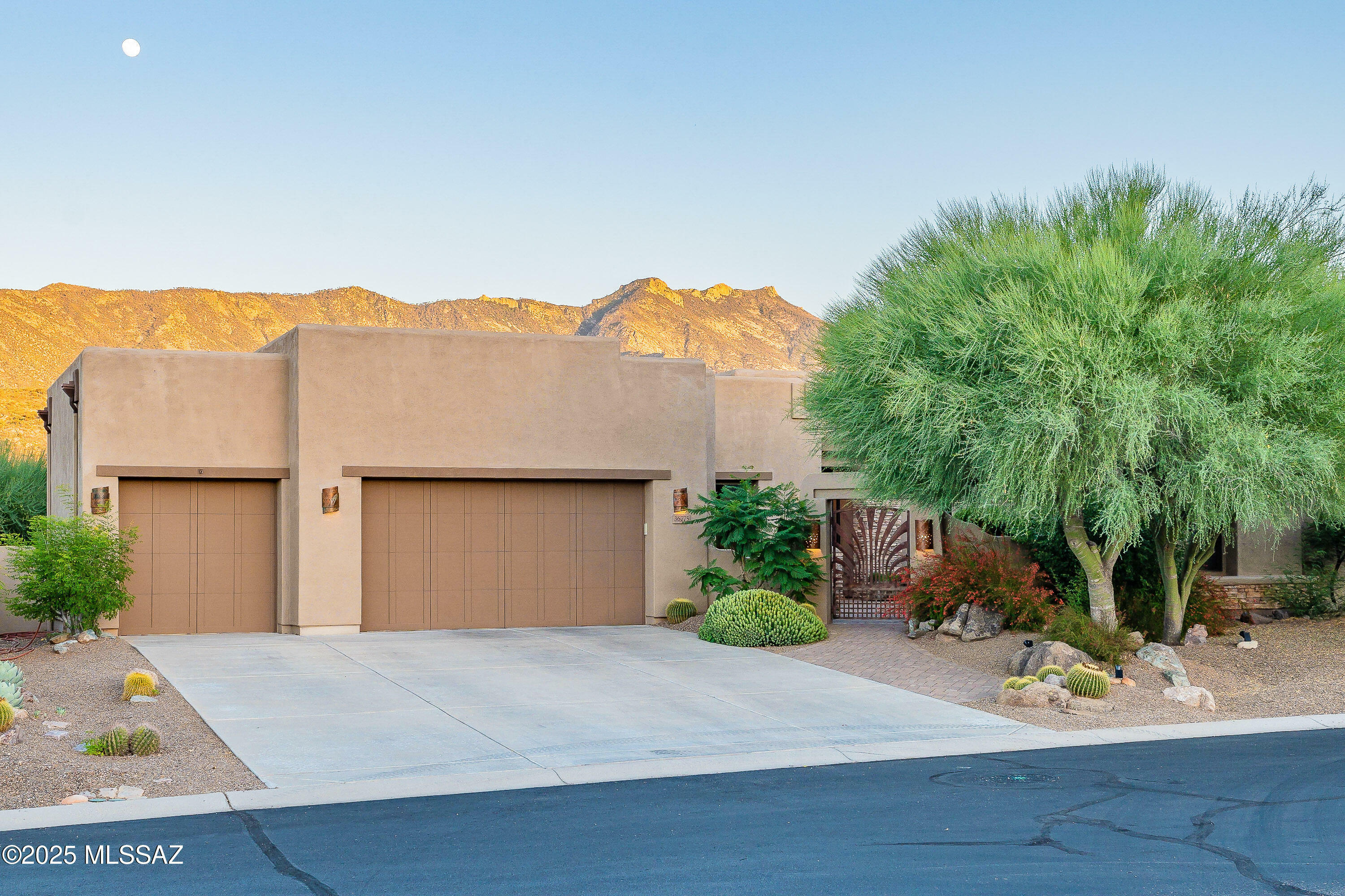 Property Photo:  36775 S Desert Sky Lane  AZ 85739 