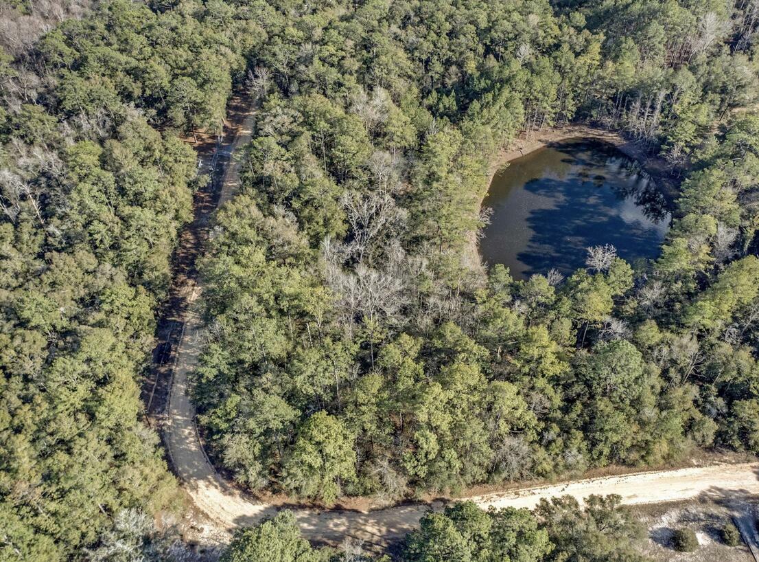 Property Photo:  Lot 30 Blue Creek Road  FL 32455 