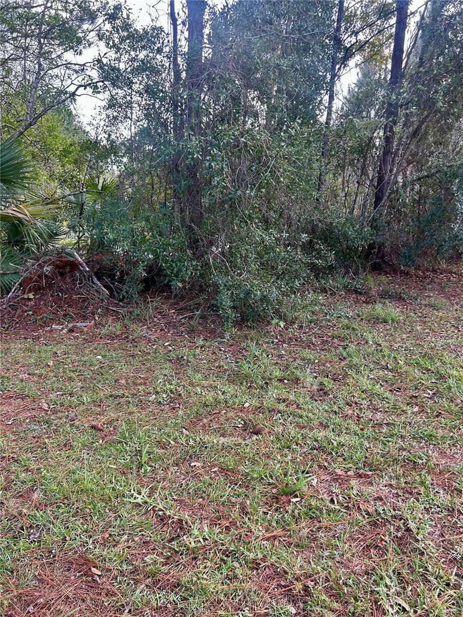 Property Photo:  44510 Sunset Trail  FL 32720 