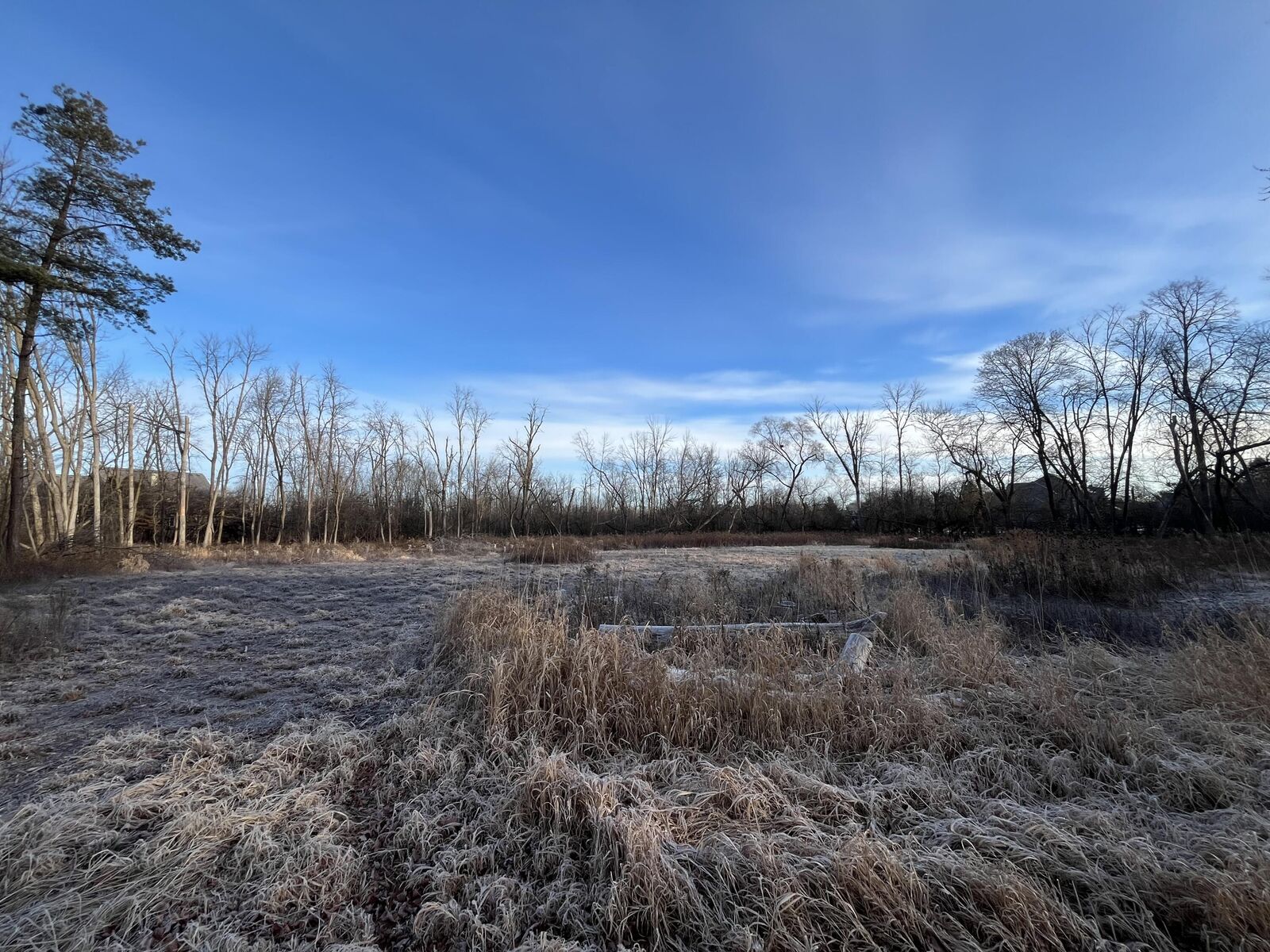 Property Photo: 10510 N Pine Tree Cir WI 53092