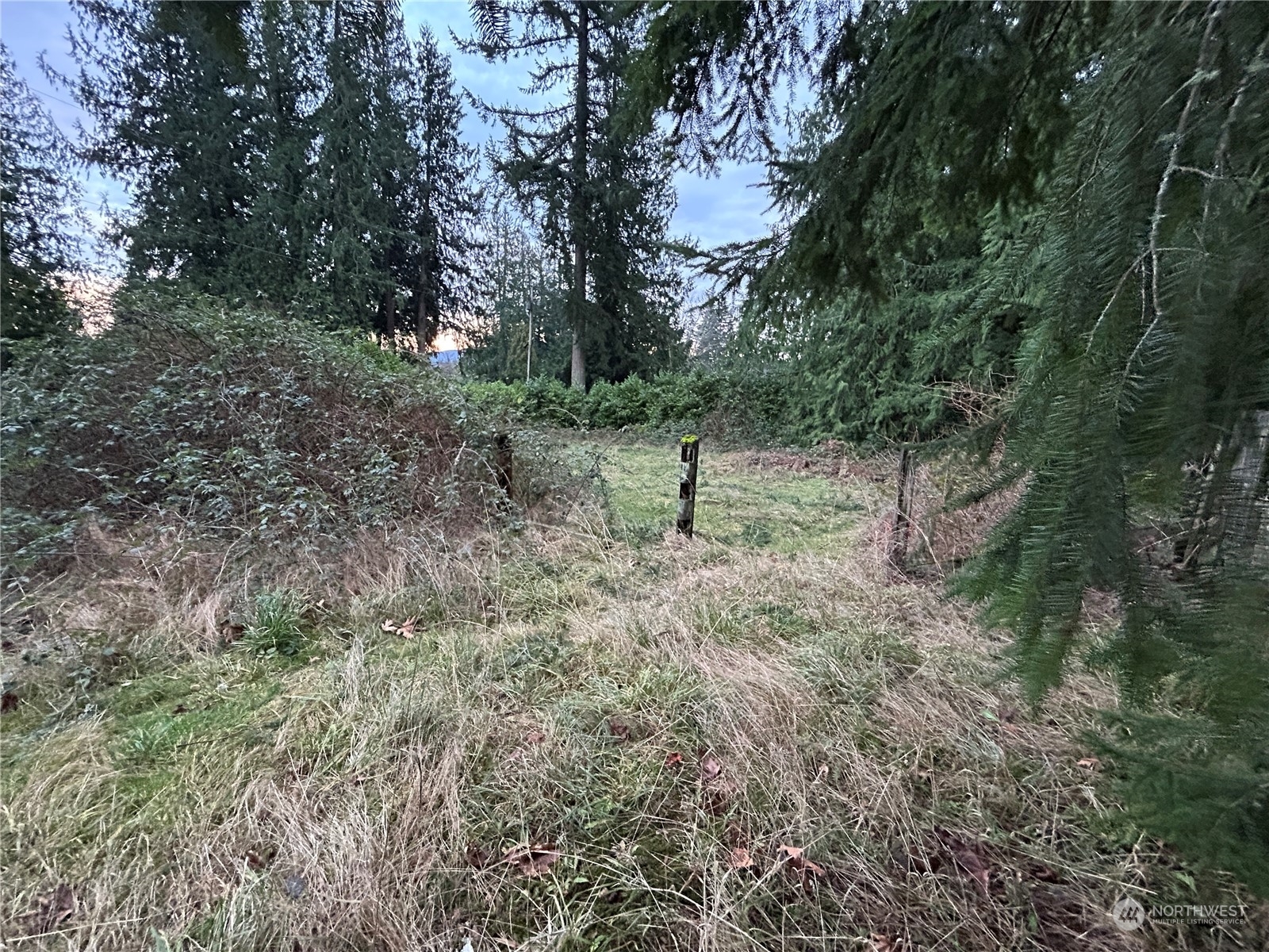 Property Photo:  2027  219th Lane SE  WA 98075 