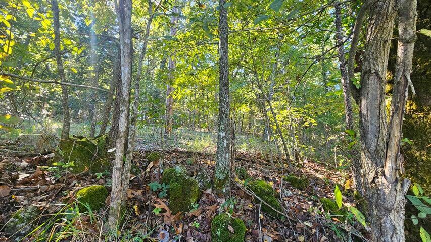 Property Photo: 000 Eastwood Hills Block 6 Lot 2 MO 65761
