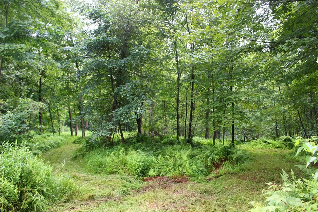 Property Photo: 0 SR 258 PA 16127