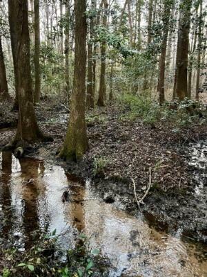 Property Photo: 177 Gwendolyn Drive SC 29047