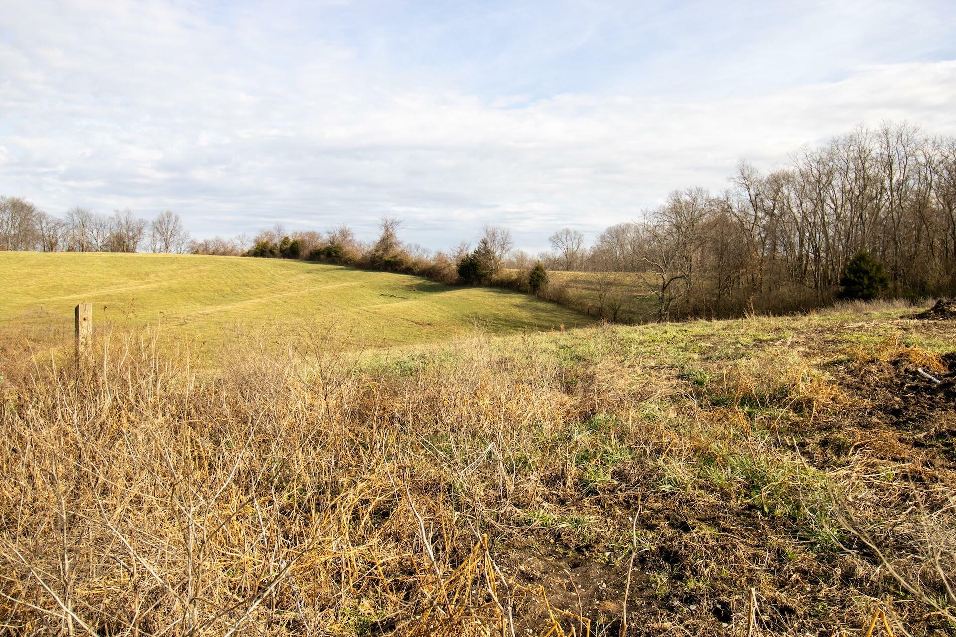 Property Photo:  11477 Banklick - Tract 1 Road  KY 41094 