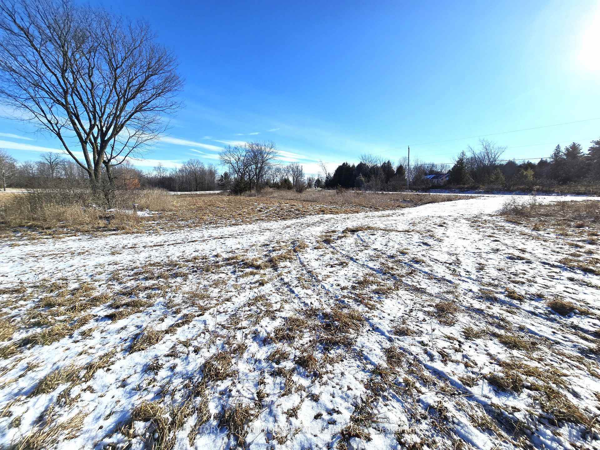 Property Photo:  4272 Yarker Road  ON K0H 1V0 