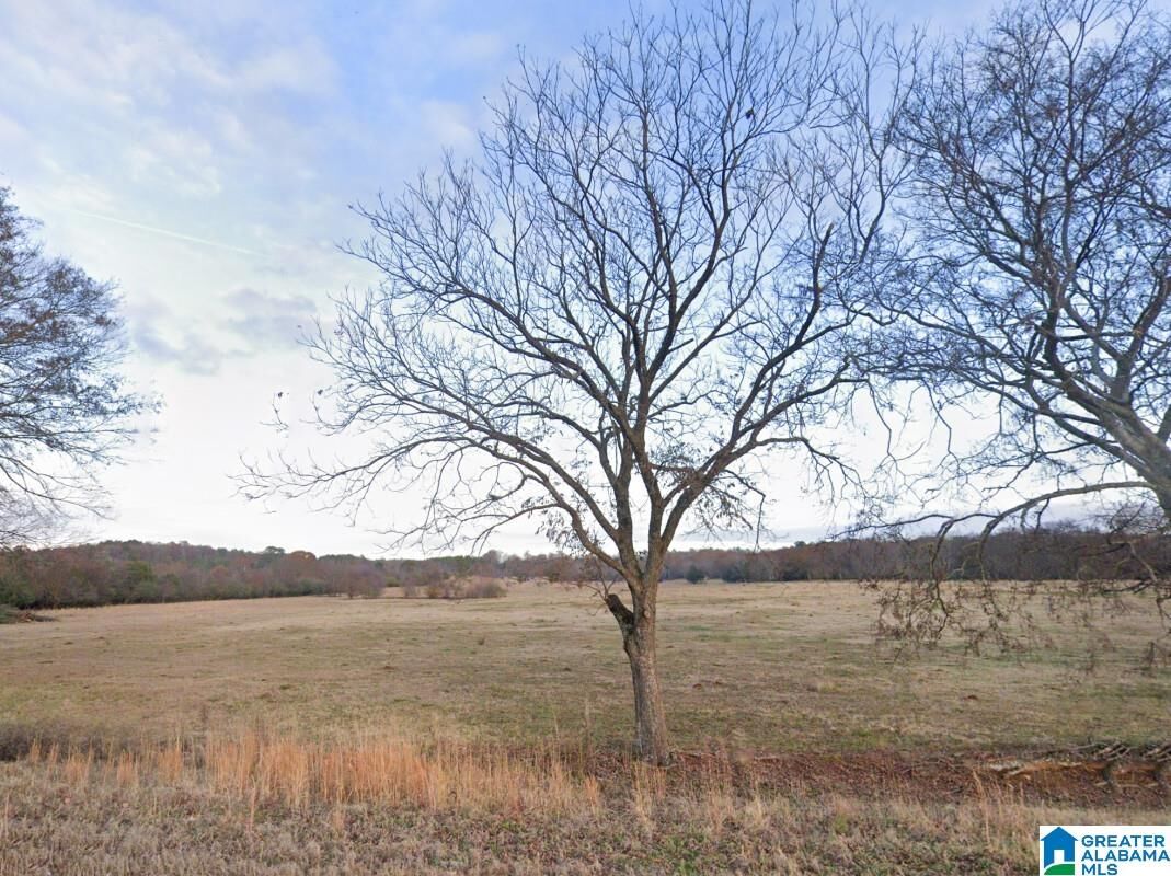 Property Photo:  0 Curry Station Road -  AL 36260 