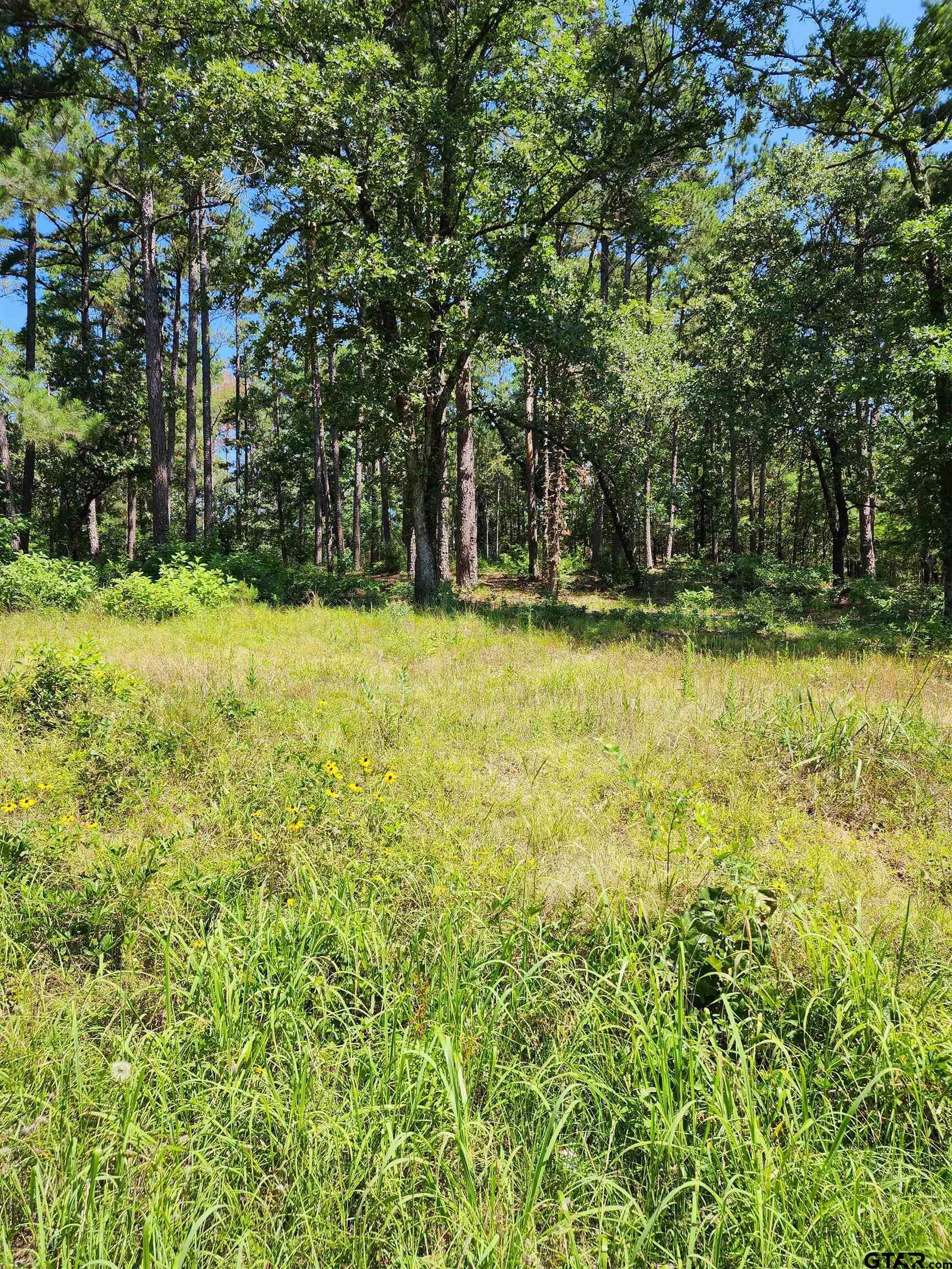 Property Photo:  16373 County Road 436  TX 75771 