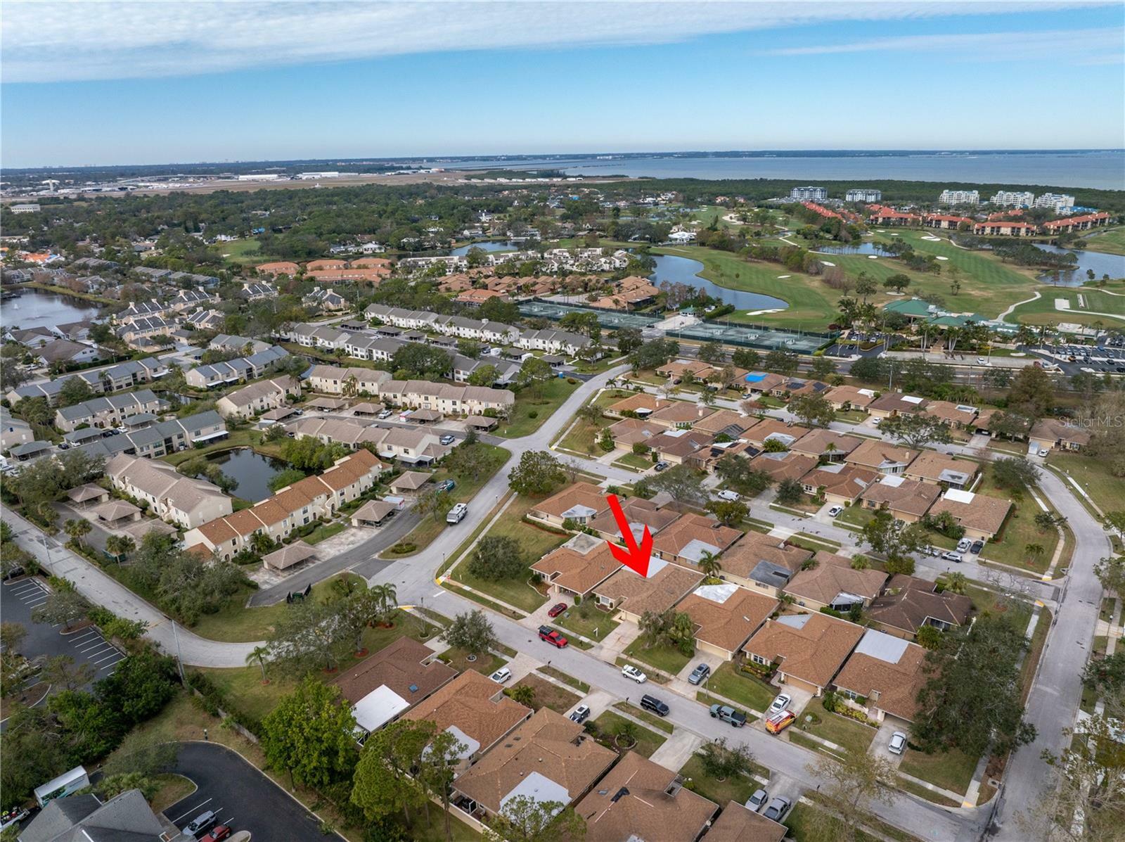 Property Photo: 2267 Heron Circle FL 33762