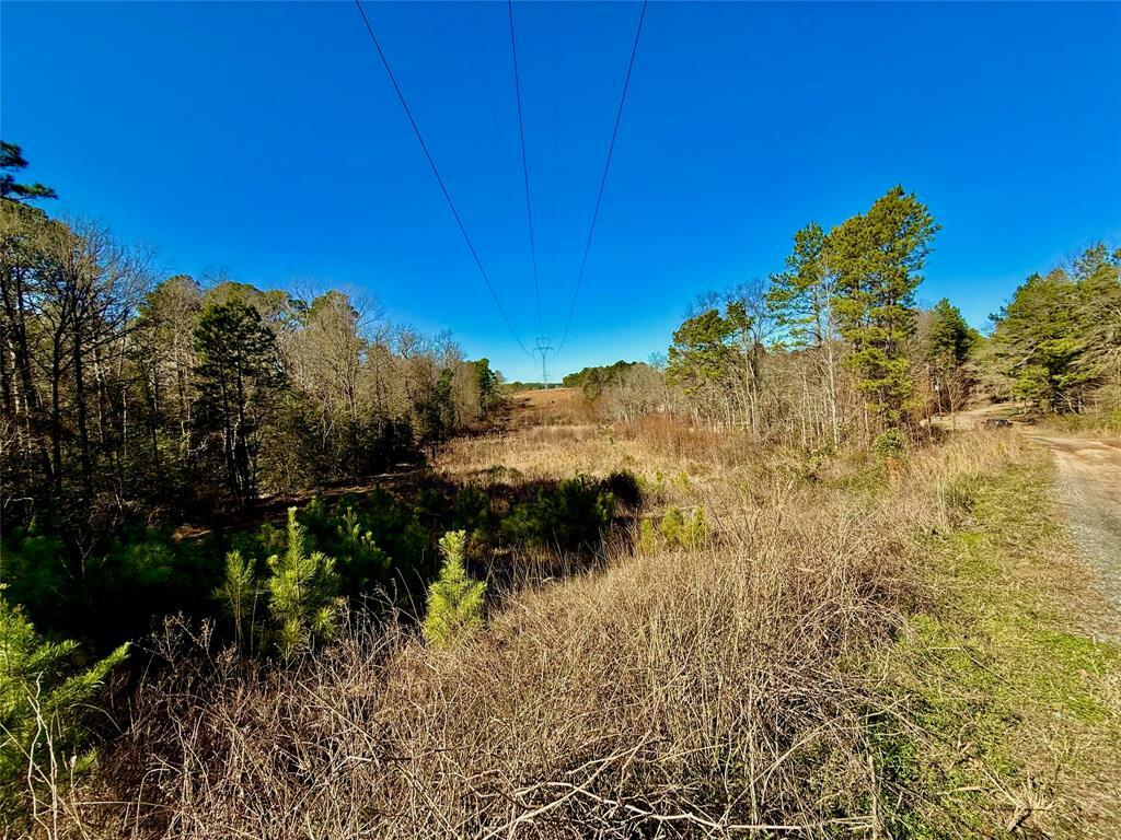 Property Photo:  Lot 16 Chestnut Drive  TX 75651 