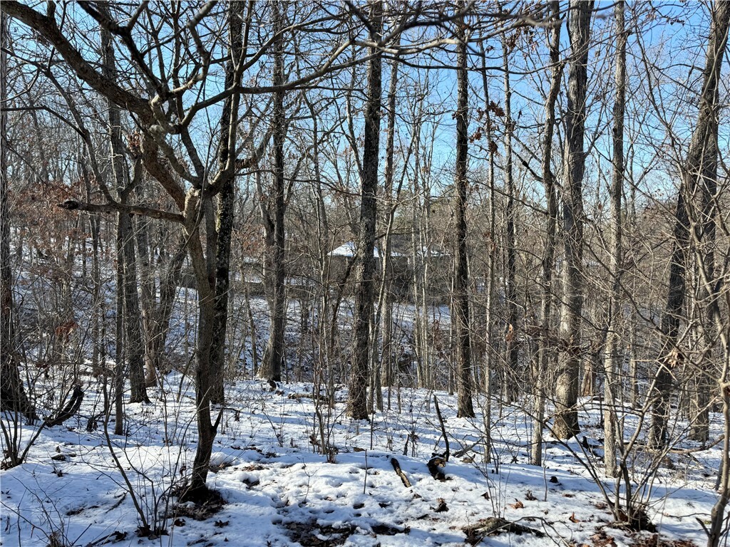 Property Photo:  Lot 15, Block 1 Clifton Lane  AR 72714 