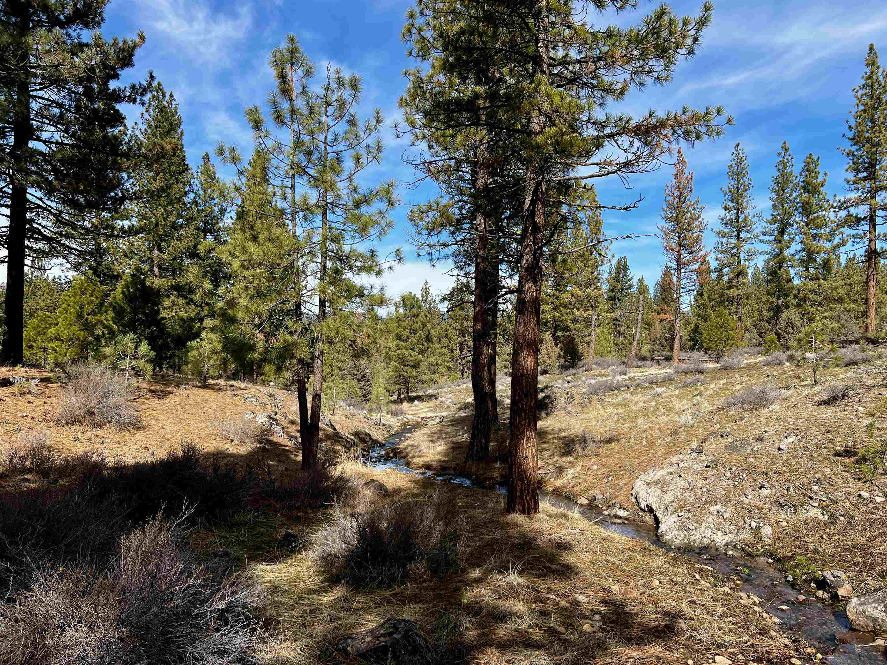 450 Emerald Point  Portola CA 96161 photo