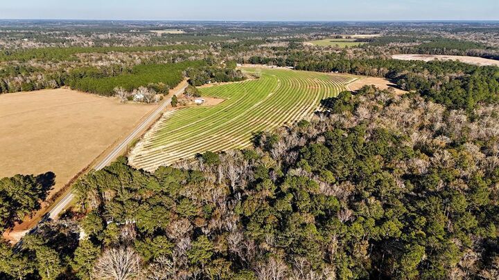 Property Photo:  00 Tired Creek Rd.  GA 39897 