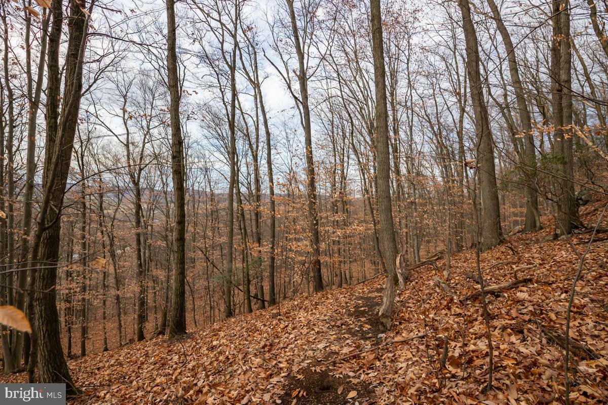 Property Photo:  0 Sheep Hill Road  PA 19512 