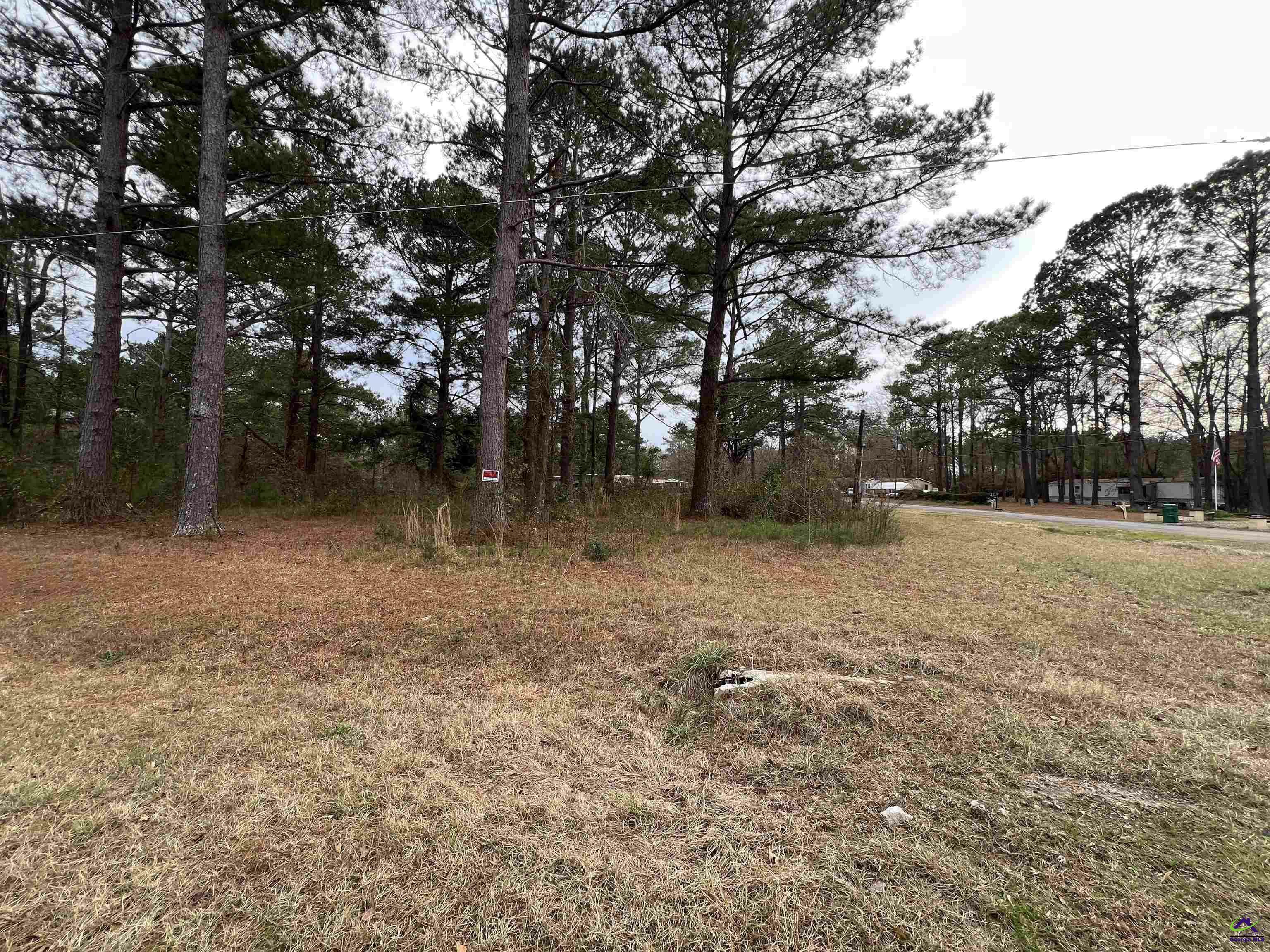 Property Photo:  113 Persimmon Drive  GA 31047 