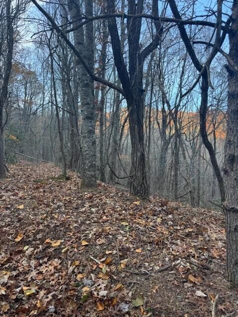 Property Photo:  19N Fox Run Lane  GA 30143 