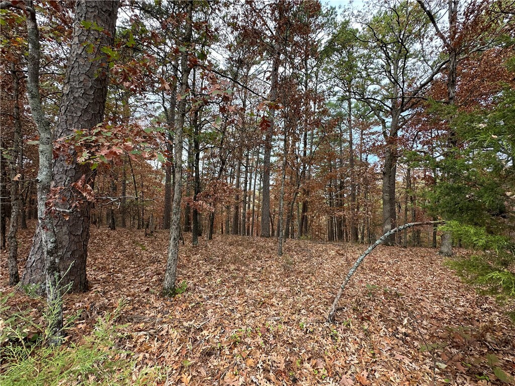 Property Photo:  Tbd Pivot Rock Road  AR 72632 