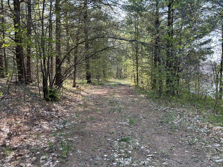 Property Photo: Unit 3 Lakeview Drive MI 49735