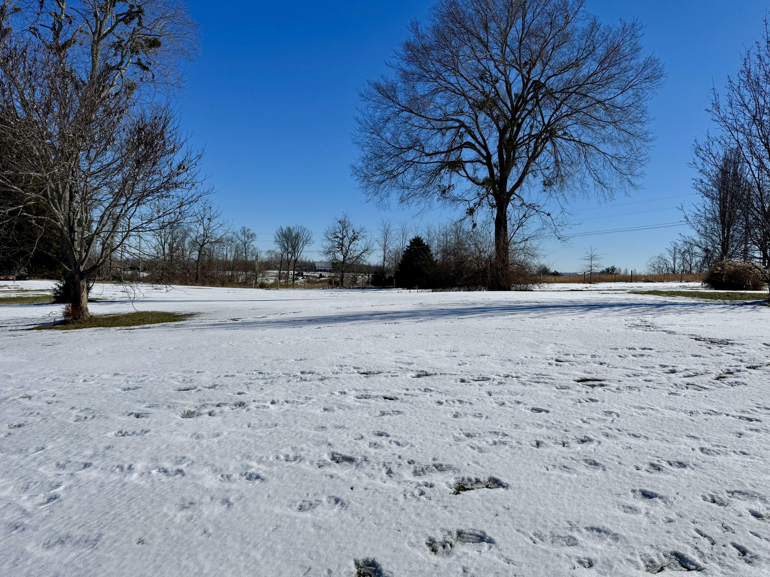 Property Photo:  317 Timberline Court  KY 40403 