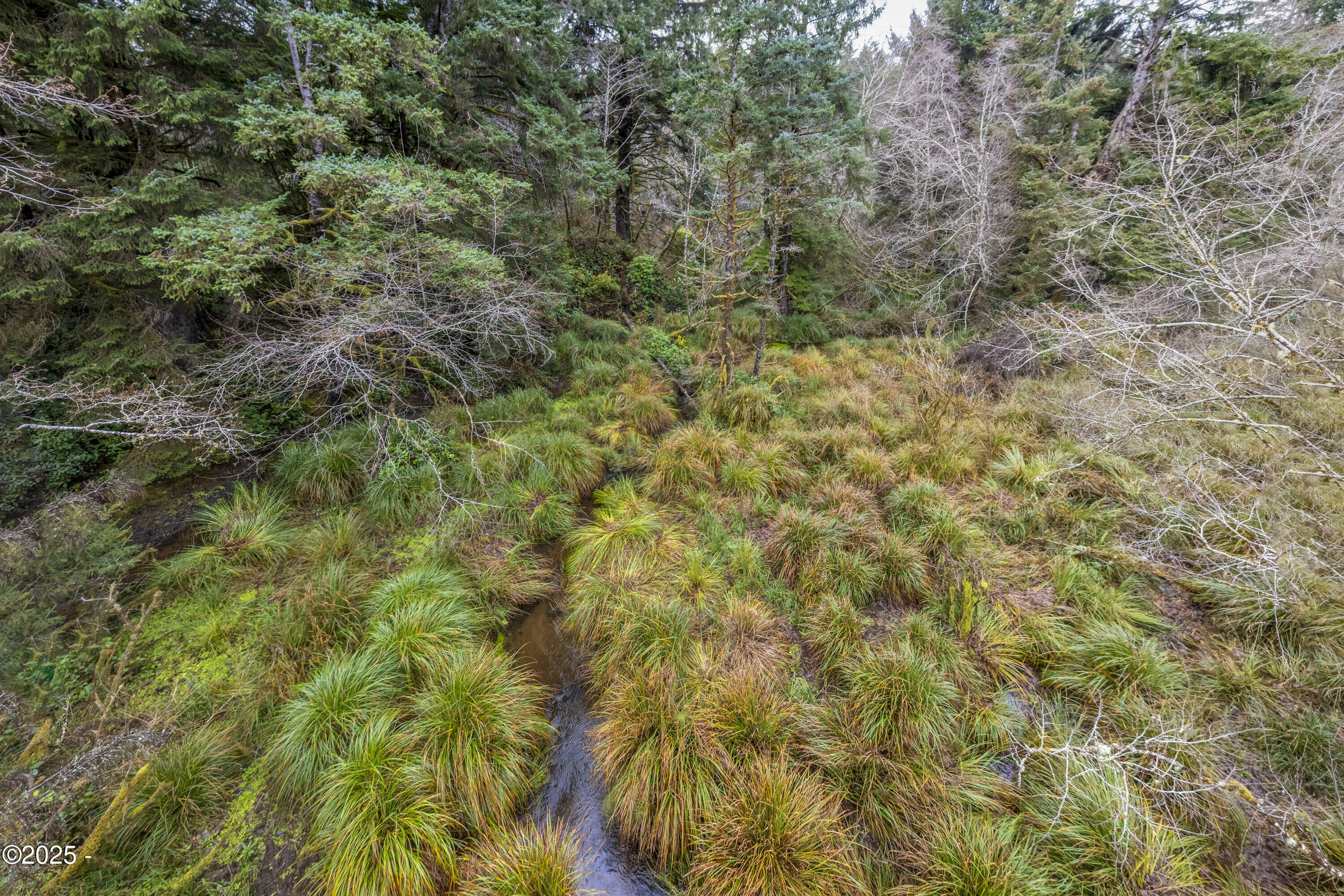 Property Photo: Tl#1000 NE Oregon Street OR 97498