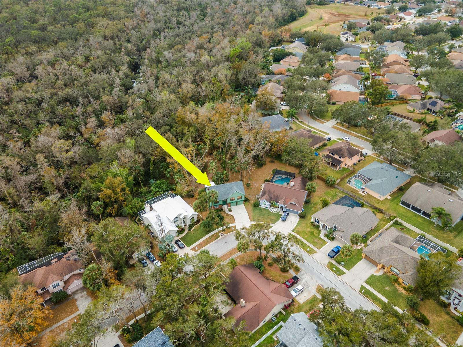 Property Photo:  1921 River Crossing Drive  FL 33596 