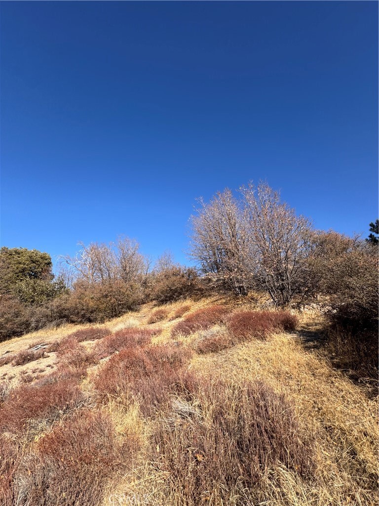 Property Photo: 29685 Hickory Drive CA 92321