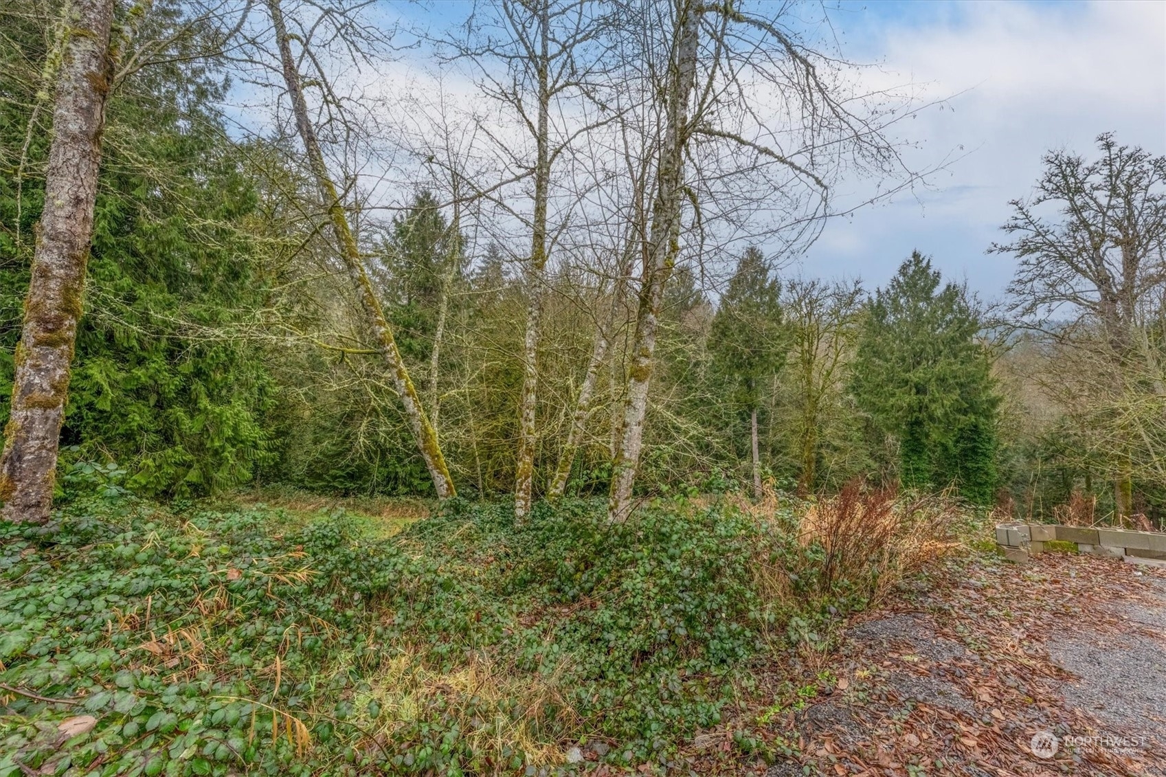 Property Photo:  0  Olson Road  WA 98632 