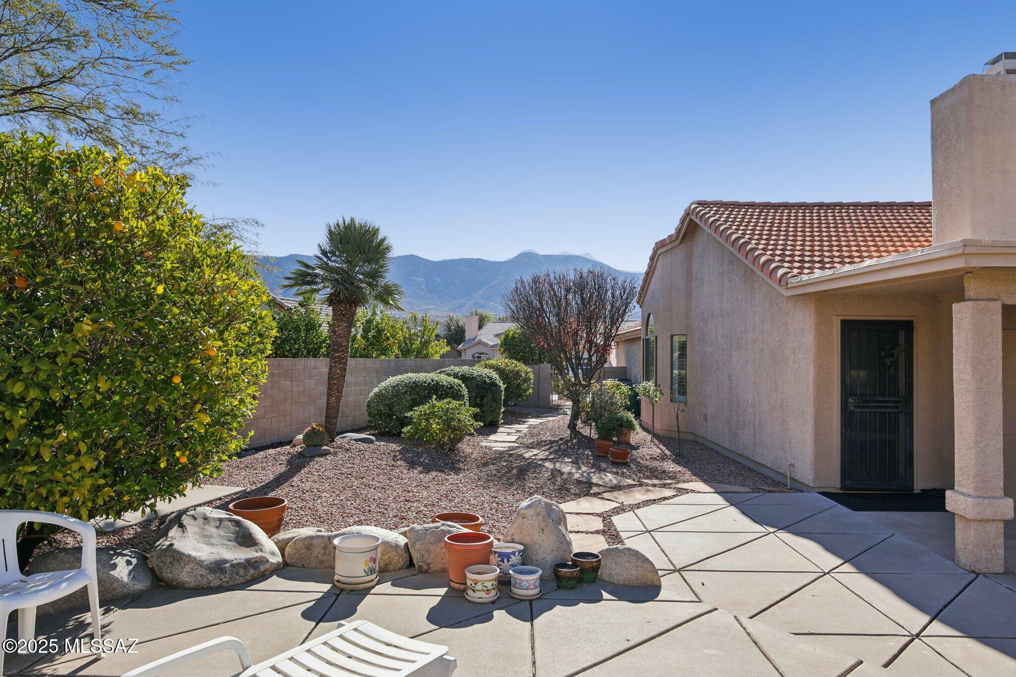 Property Photo:  37866 S Cleek Drive  AZ 85739 