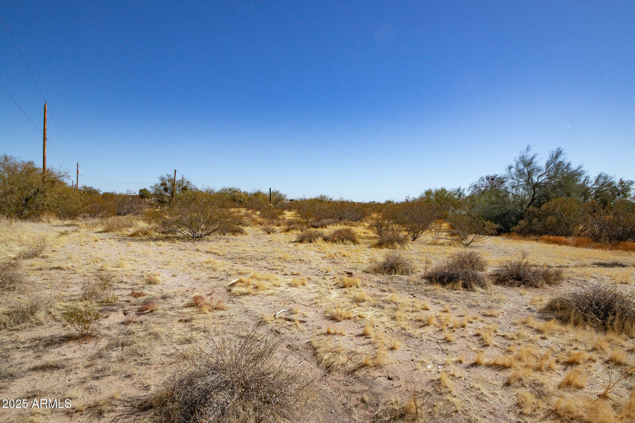 Property Photo:  21905 E Cactus Forest Road -  AZ 85132 