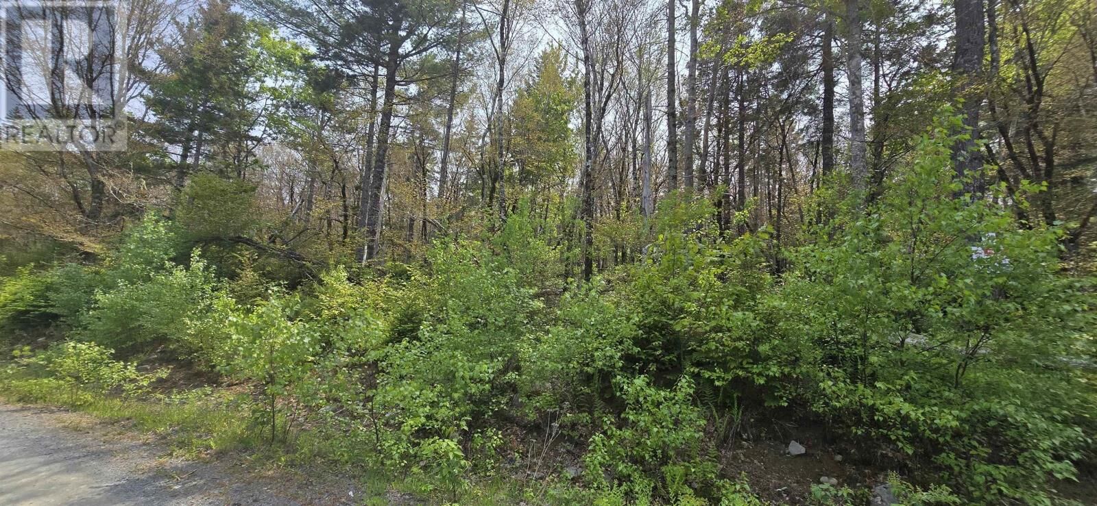 Property Photo:  Lot 4 Nathan Croft Road, Camperdown Meadows  NS B4V 6T9 