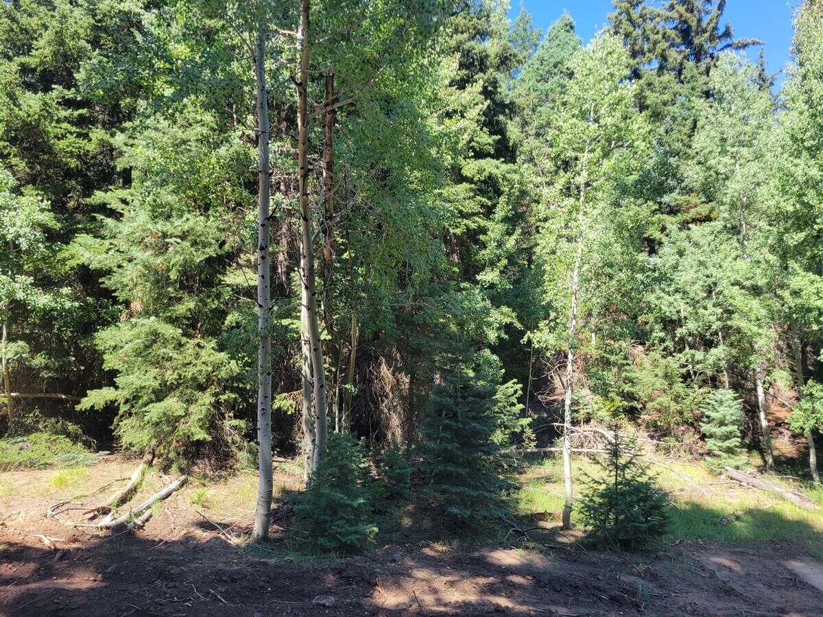 Property Photo:  Lot 45 Pinon Dr  UT 84762