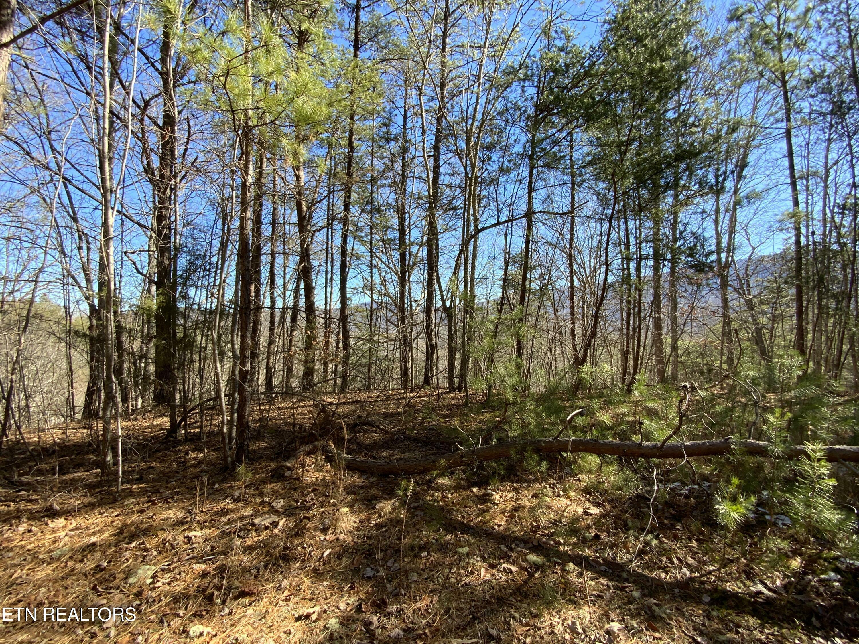 Property Photo:  Lot 7-R Hatcher Mountain Rd  TN 37862 