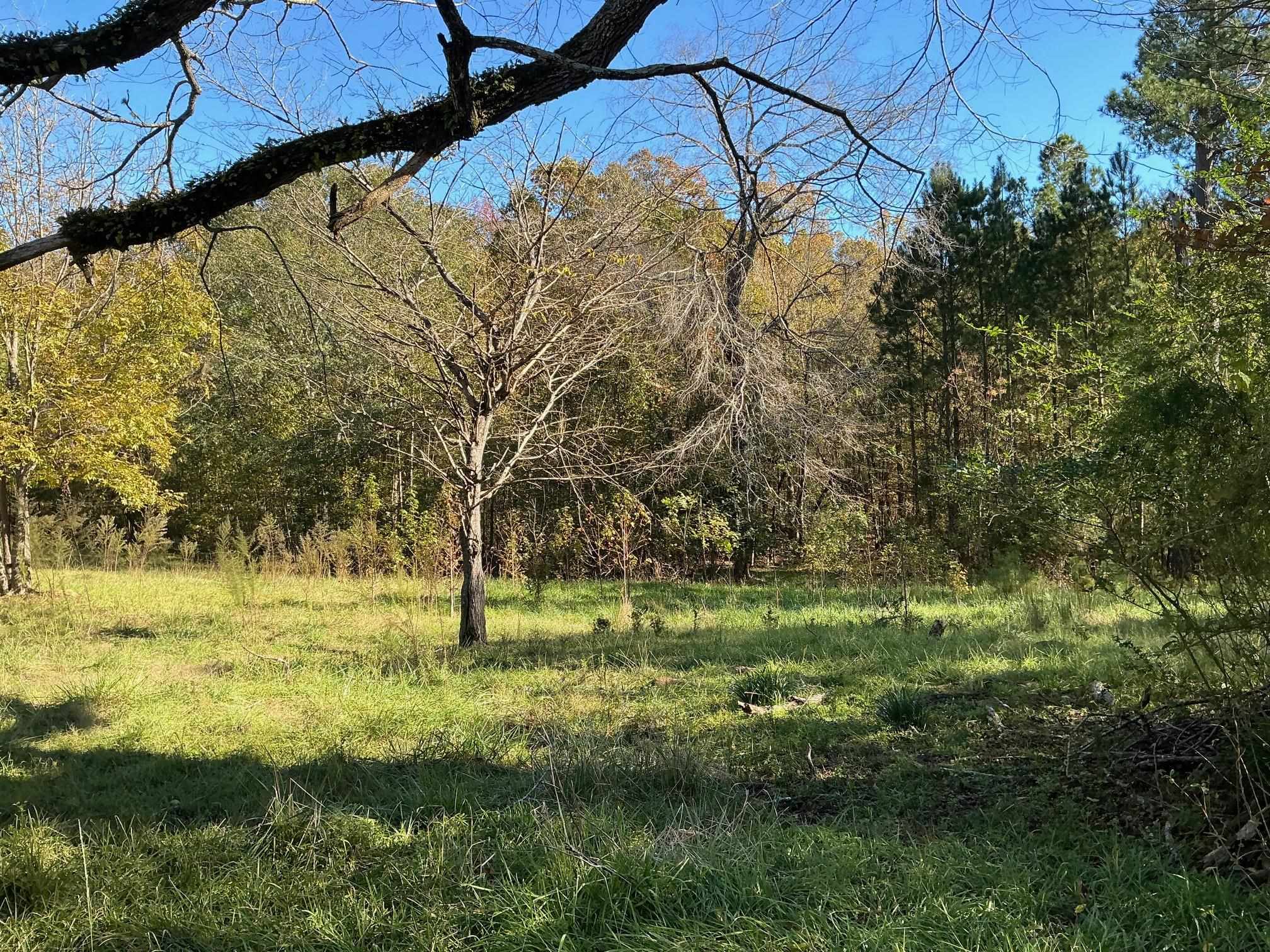 Property Photo:  1642 &Amp 1680 Wrightsville Church Road  GA 30642 