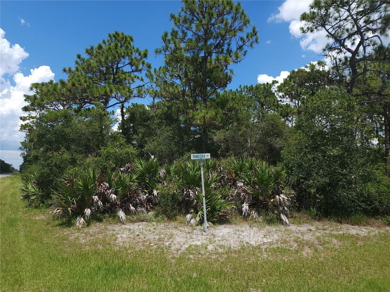 Property Photo:  924 Pandora Drive  FL 33855 