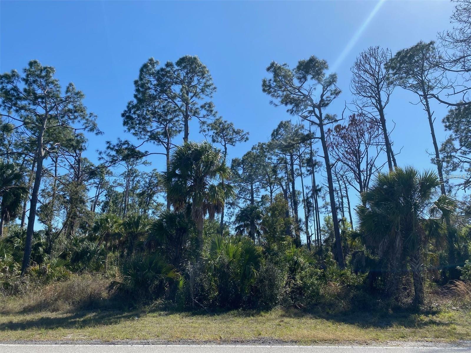 17467 And 17475 Hillsborough Boulevard  Port Charlotte FL 33954 photo