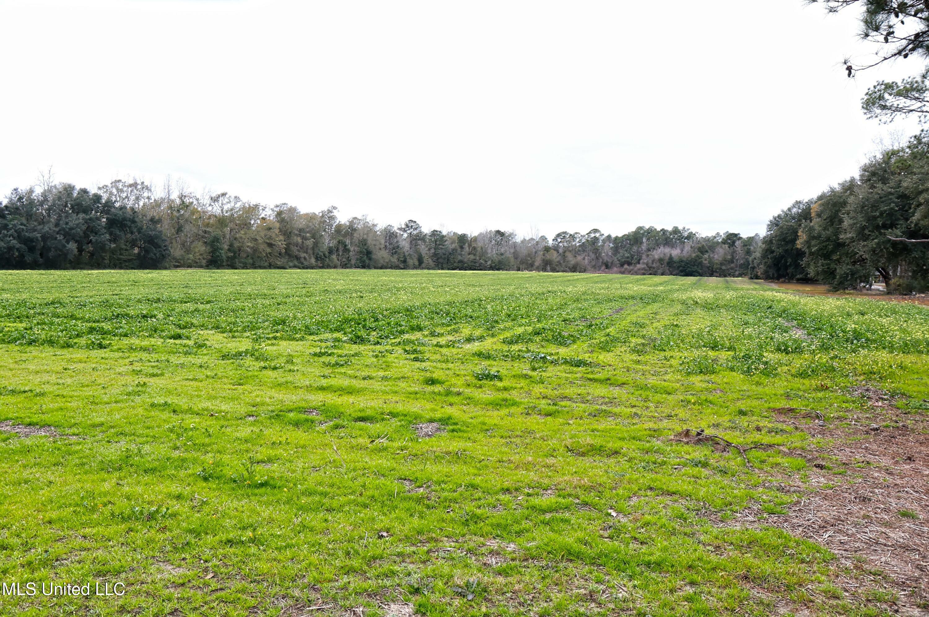 Property Photo:  0 Ramie Farm Road  MS 39452 