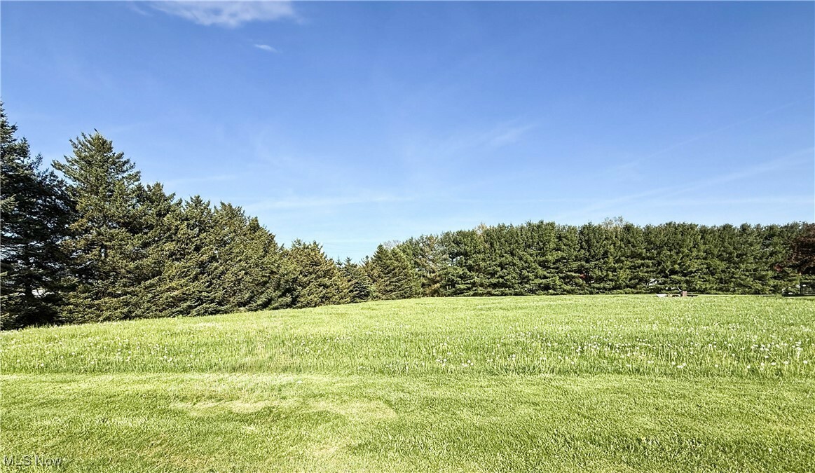 Property Photo: 49631 Foxwood Lane OH 44413