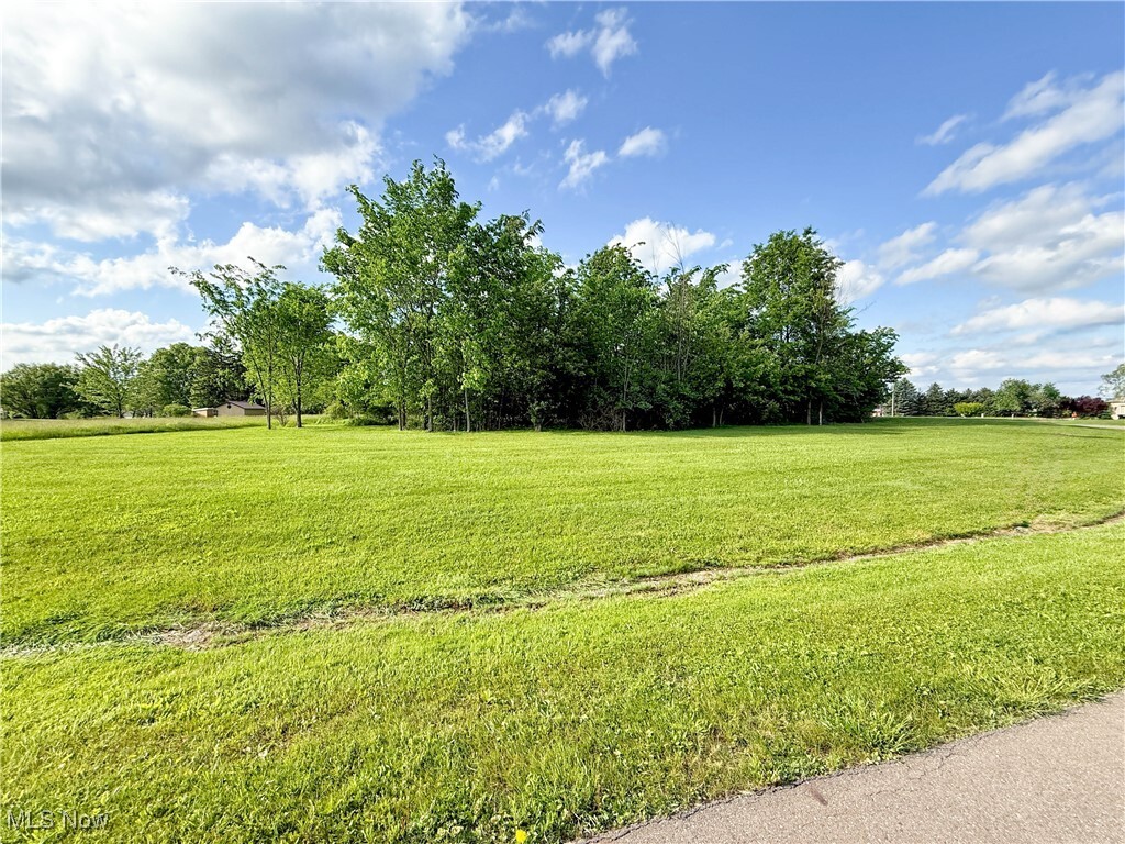 Property Photo: 49556 Foxwood Lane OH 44413