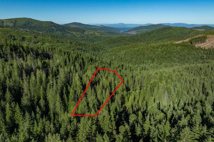 Unassigned Parcel # 58221.0111 Rd  Mead WA 99021 photo