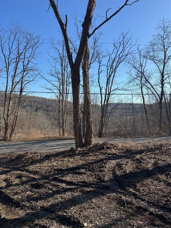 Property Photo:  55 Kent Street  NY 13865 