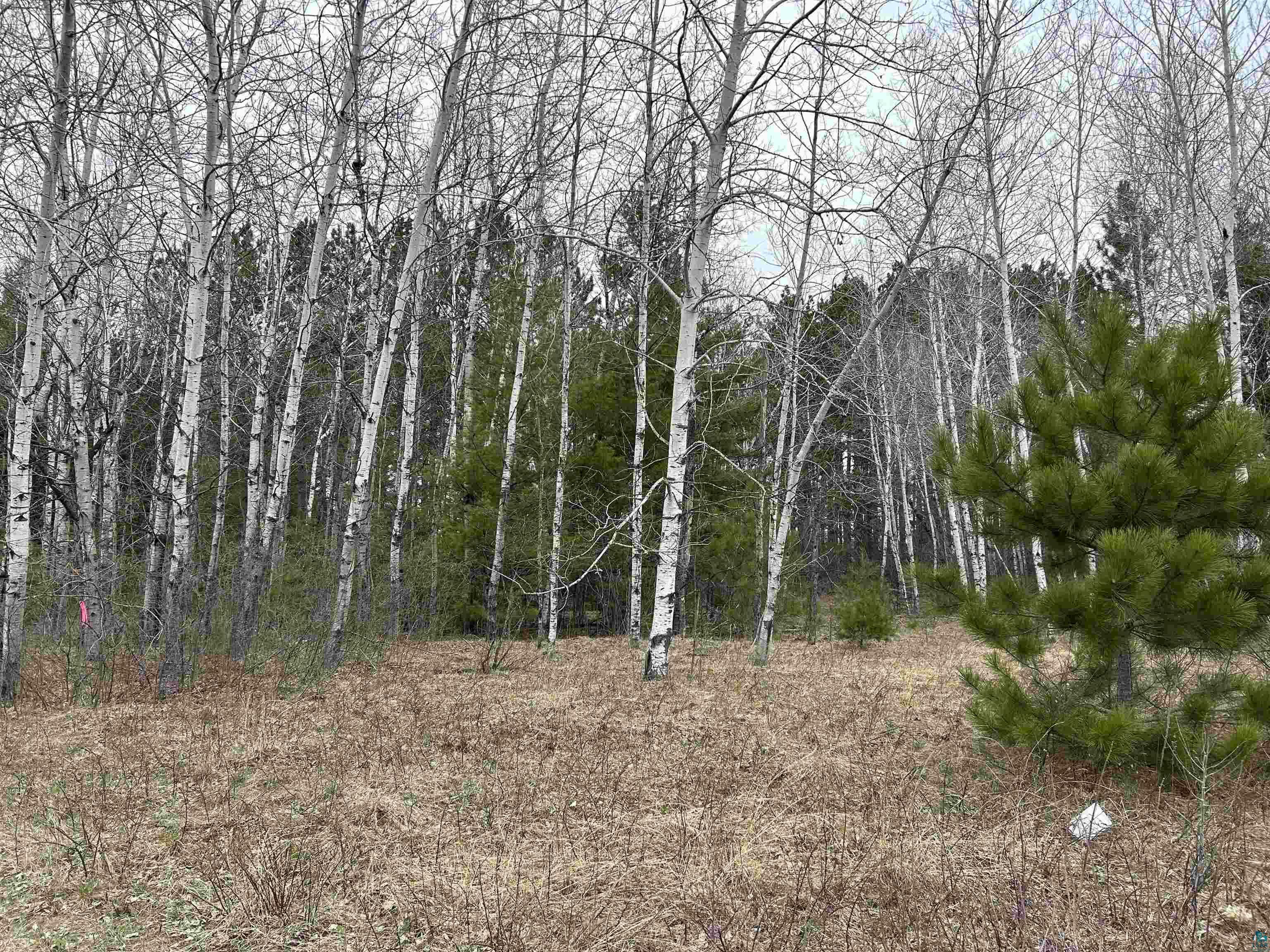 Property Photo: Lot 4 North Shore Dr WI 54847