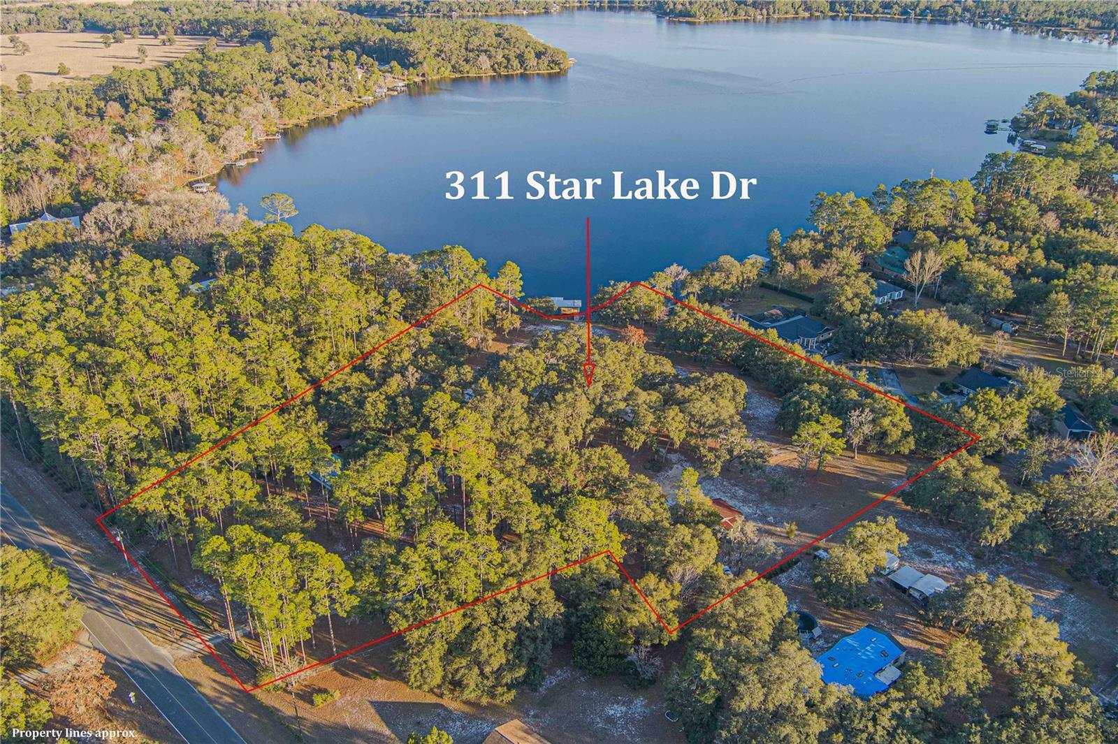 Property Photo:  311 Star Lake Drive  FL 32640 