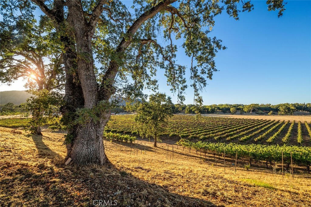 Property Photo:  5615 Highland Springs Road  CA 95453 